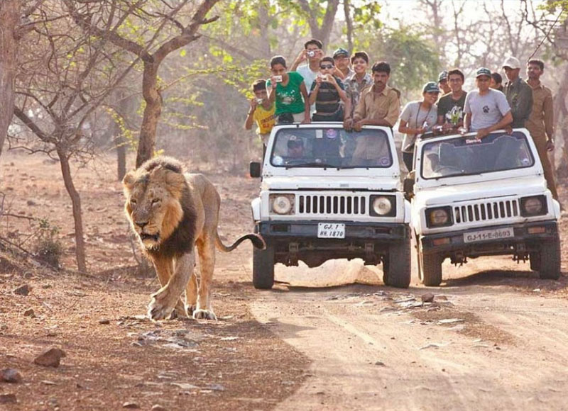 Ahmedabad - Bhuj - Mandvi - Rann Of Kutch - Dwarka - Somnath - Sasan Gir - Diu -  Ahmedabad