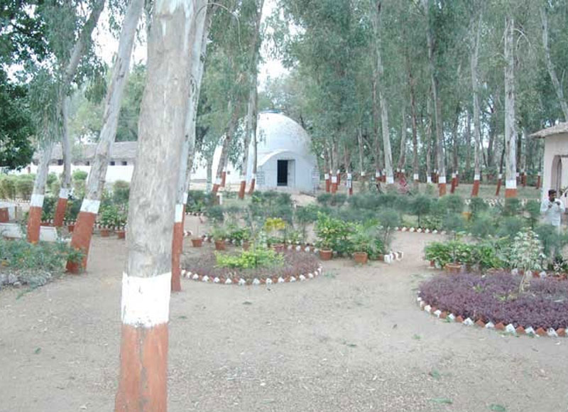 Vadhvana Wetland and Eco Campsite